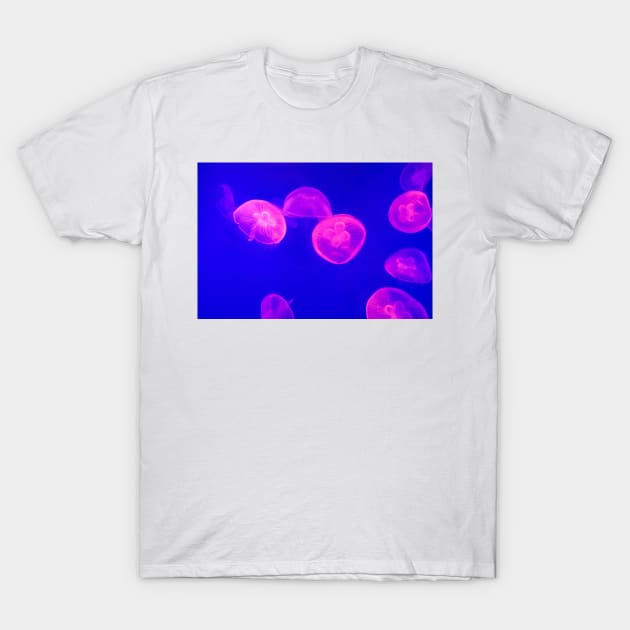 Jellyfish Artwork T-Shirt by Pop Cult Store
